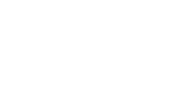 Liontrax Logo